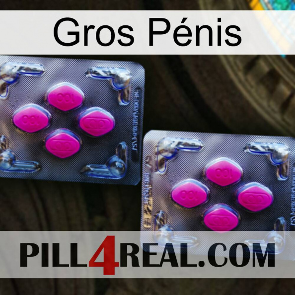 Gros Pénis 01